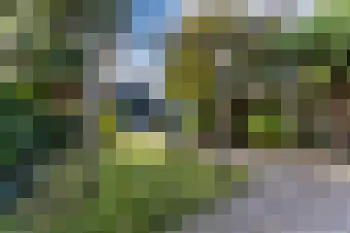 Kievitstraat 79 Geldrop thumbnail 39