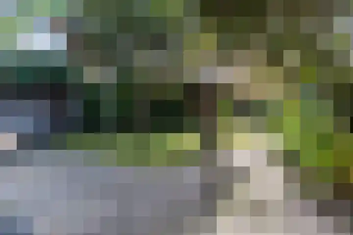 Kievitstraat 79 Geldrop thumbnail 40