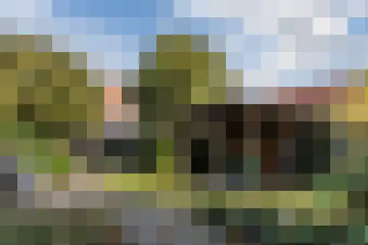 Kievitstraat 79 Geldrop thumbnail 41