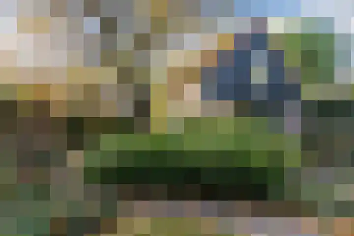Kievitstraat 79 Geldrop thumbnail 44