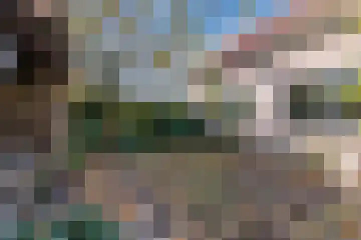 Kievitstraat 79 Geldrop thumbnail 45