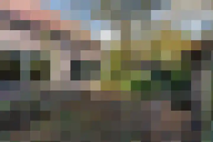 Kievitstraat 79 Geldrop thumbnail 46