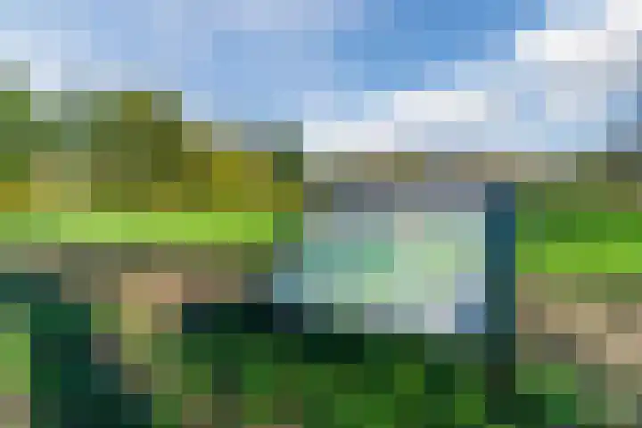 Kievitstraat 79 Geldrop thumbnail 54