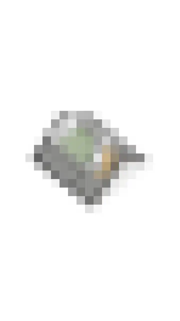 Kievitstraat 79 Geldrop thumbnail 63