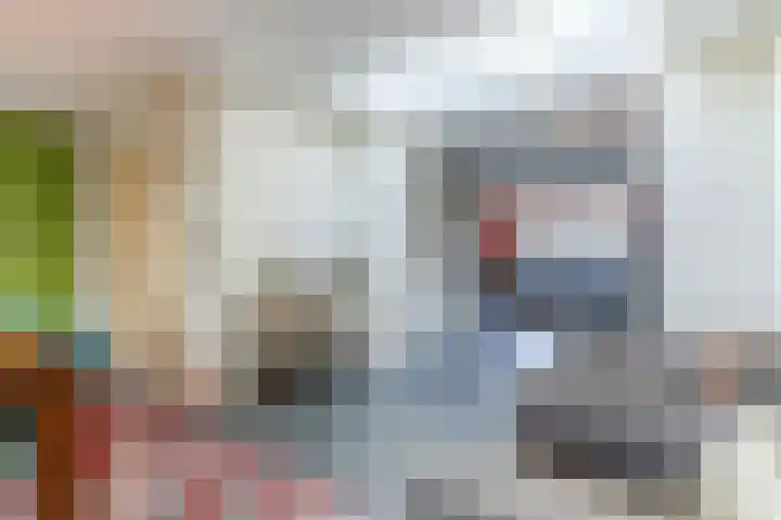 Kievitstraat 79 Geldrop thumbnail 9