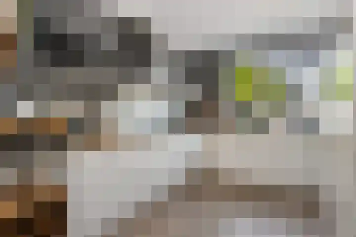 Kievitsweg 95 Ridderkerk thumbnail 13