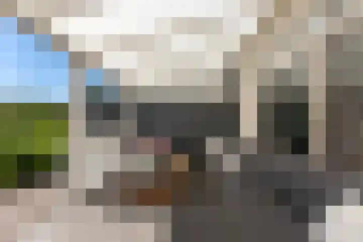Kievitsweg 95 Ridderkerk thumbnail 19