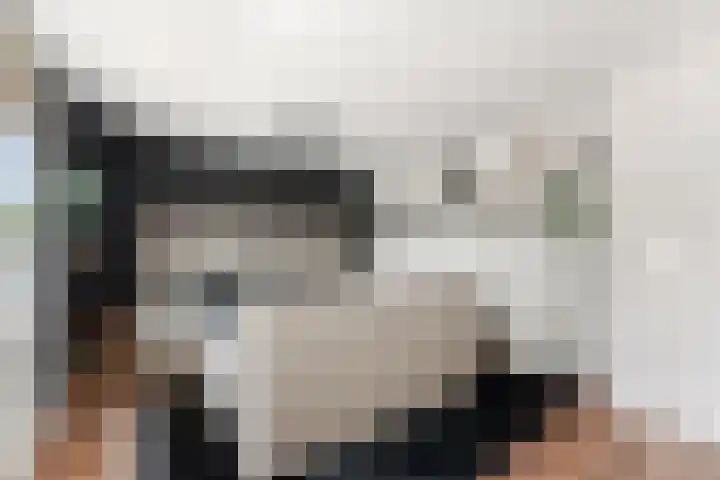 Kievitsweg 95 Ridderkerk thumbnail 23