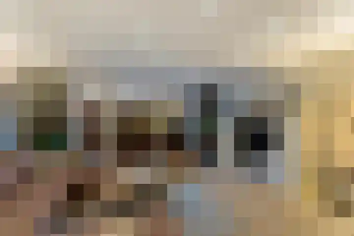 Kievitsweg 95 Ridderkerk foto 3