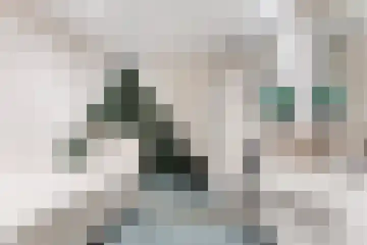 Kievitsweg 95 Ridderkerk thumbnail 30