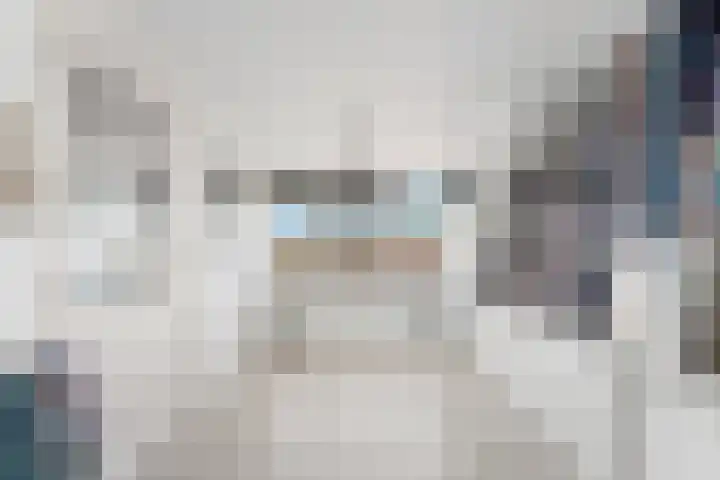 Kievitsweg 95 Ridderkerk thumbnail 37