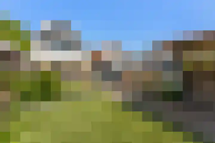 Kievitsweg 95 Ridderkerk thumbnail 49