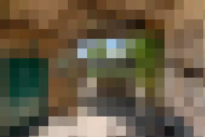 Kievitsweg 95 Ridderkerk thumbnail 53