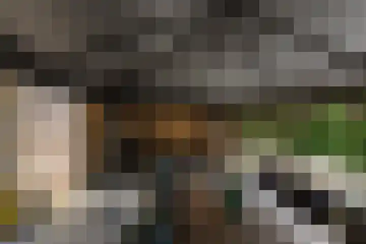 Kievitsweg 95 Ridderkerk thumbnail 55
