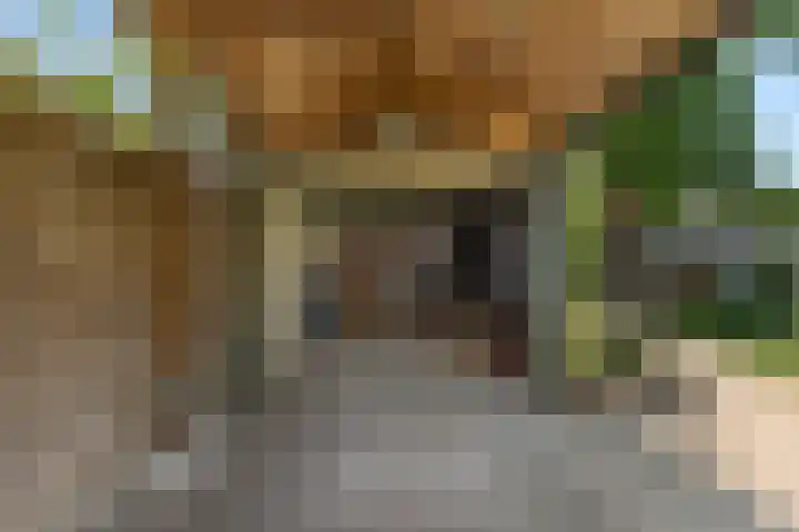 Kievitsweg 95 Ridderkerk thumbnail 64