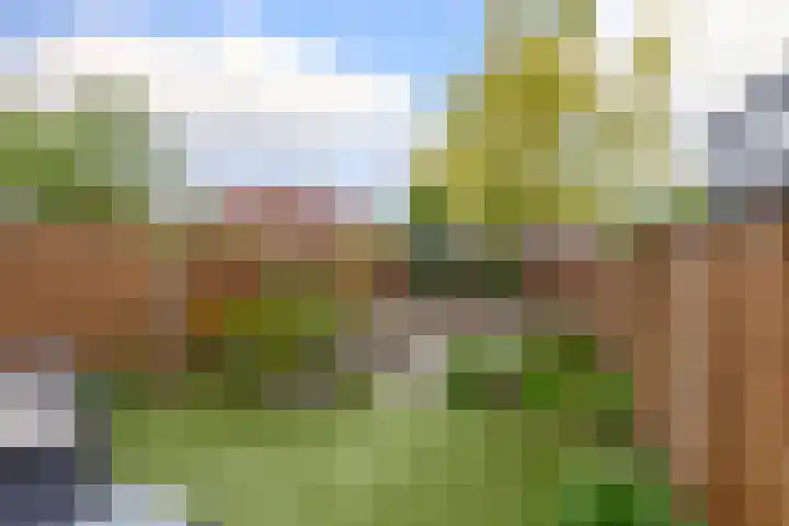 Kievitveld 9 Zoetermeer thumbnail 23