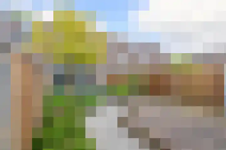 Kievitveld 9 Zoetermeer thumbnail 27
