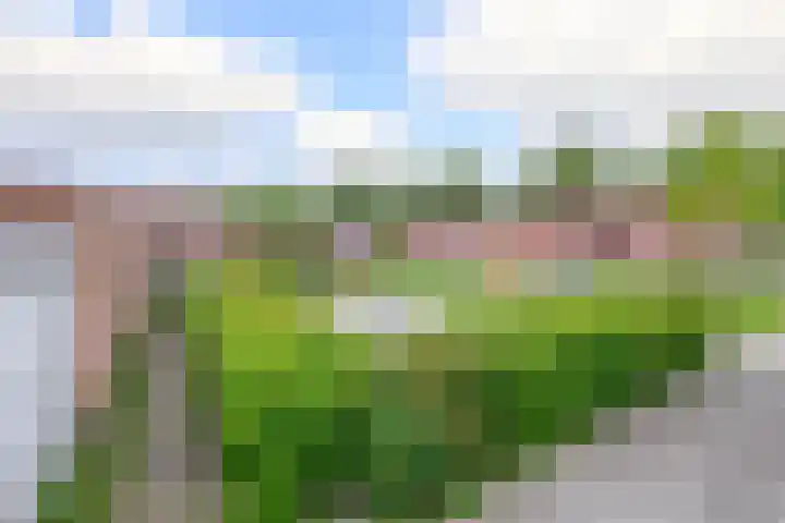 Kievitveld 9 Zoetermeer thumbnail 28