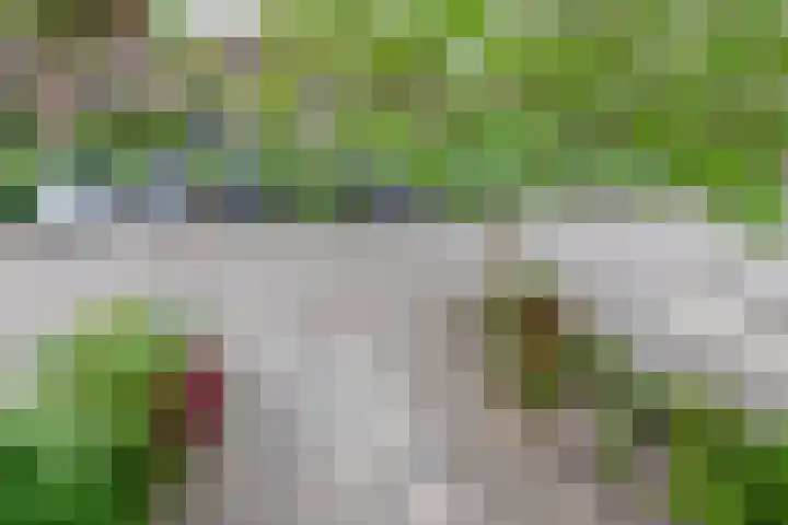 Kievitveld 9 Zoetermeer thumbnail 41