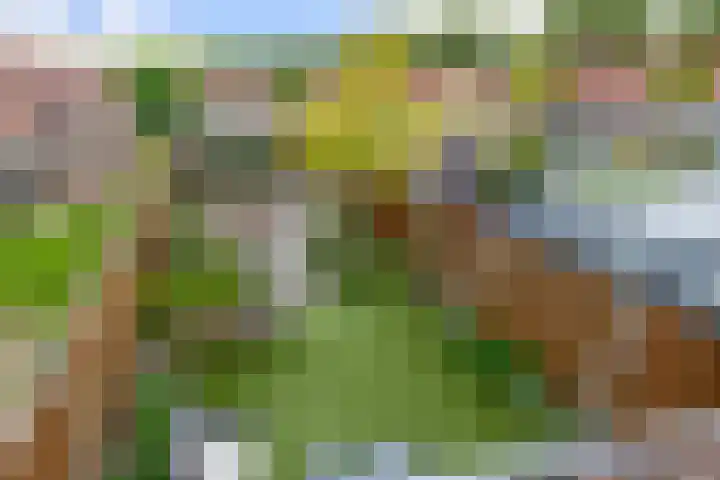 Kievitveld 9 Zoetermeer thumbnail 42
