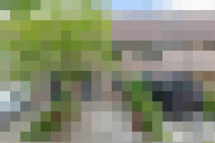 Kievitveld 9 Zoetermeer thumbnail 5
