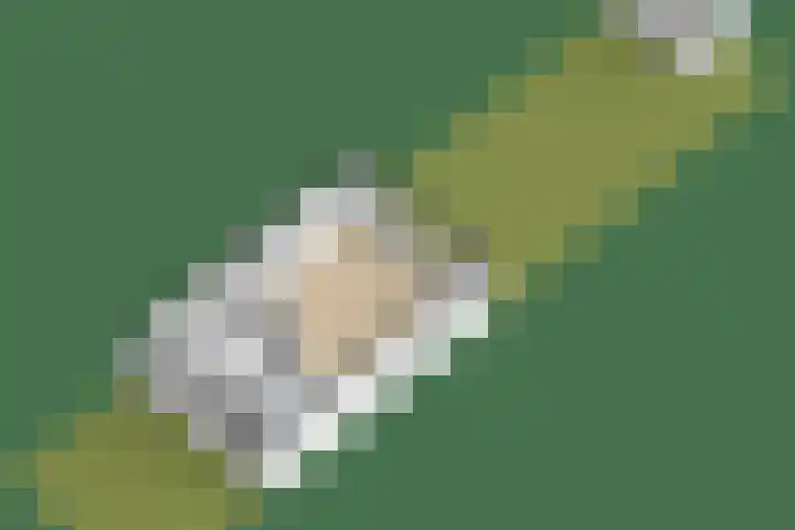 Kievitveld 9 Zoetermeer thumbnail 53