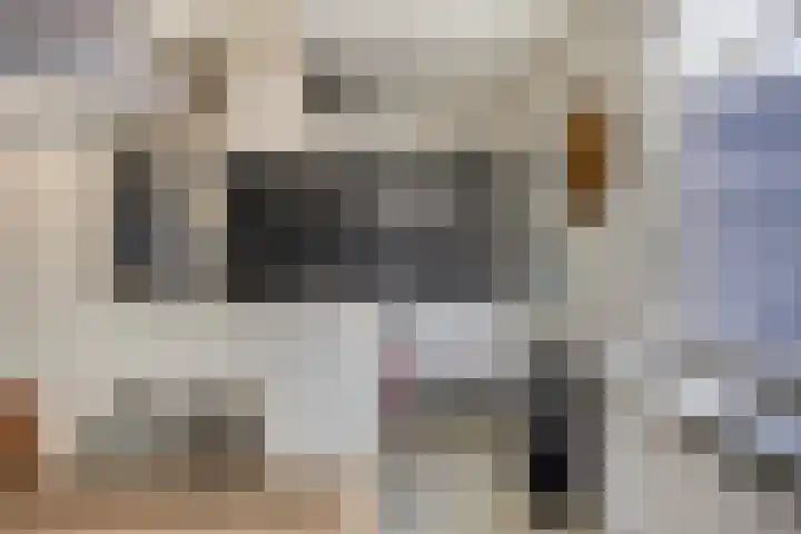 Kievitweg 6 Havelte thumbnail 10