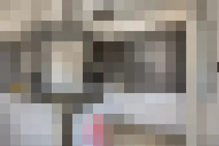 Kievitweg 6 Havelte thumbnail 11
