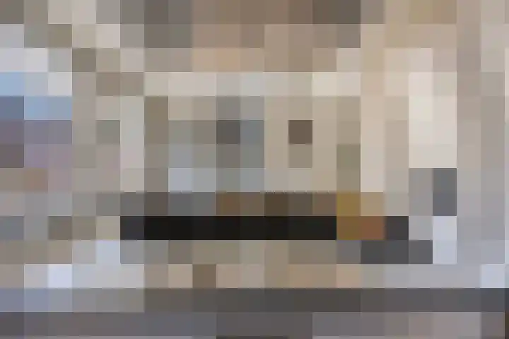 Kievitweg 6 Havelte thumbnail 12
