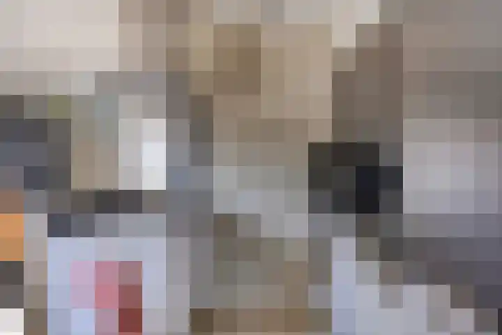 Kievitweg 6 Havelte thumbnail 14