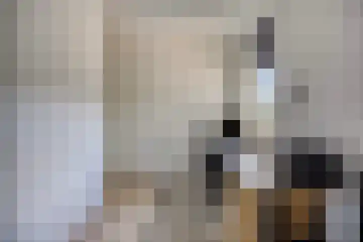 Kievitweg 6 Havelte thumbnail 22