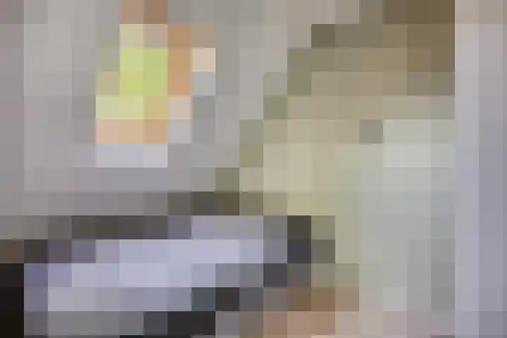 Kievitweg 6 Havelte thumbnail 23