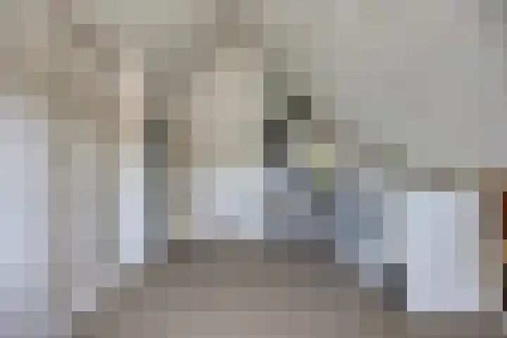 Kievitweg 6 Havelte thumbnail 26