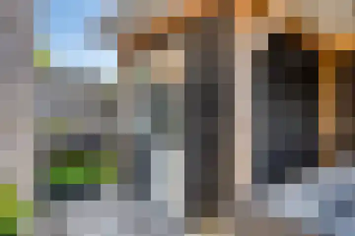 Kievitweg 6 Havelte thumbnail 31
