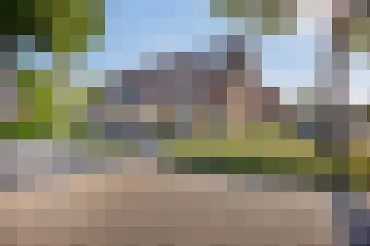 Kievitweg 6 Havelte thumbnail 36
