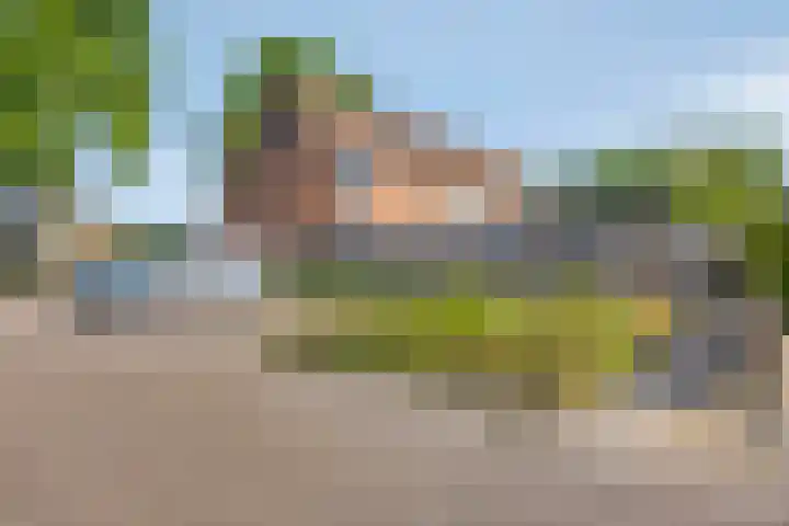 Kievitweg 6 Havelte thumbnail 37