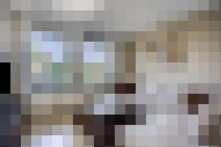 Kievitweg 6 Havelte thumbnail 4