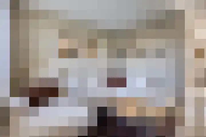 Kievitweg 6 Havelte thumbnail 5