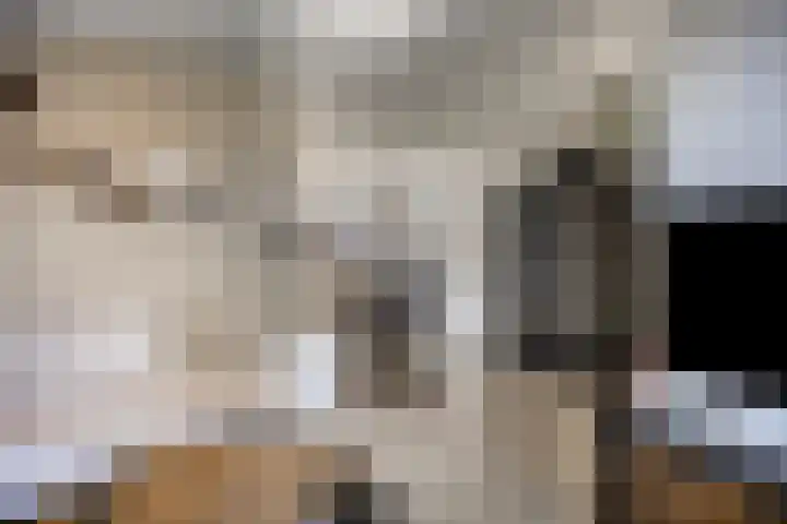 Kievitweg 6 Havelte thumbnail 6