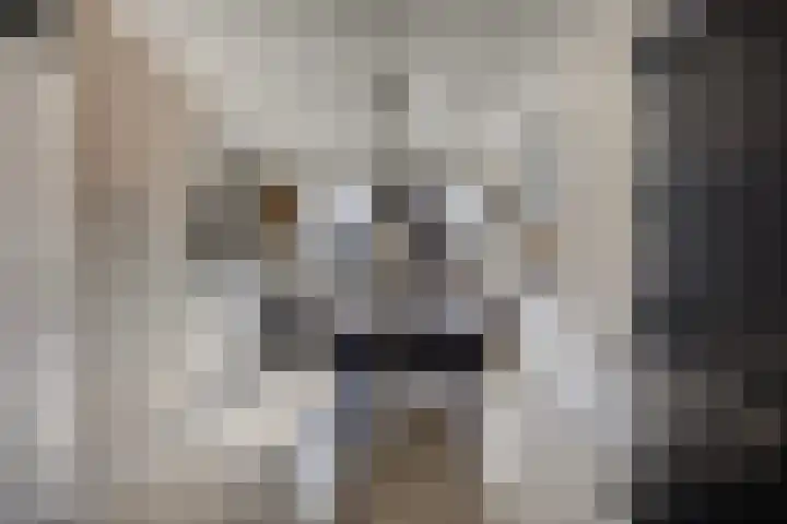 Kievitweg 6 Havelte thumbnail 8