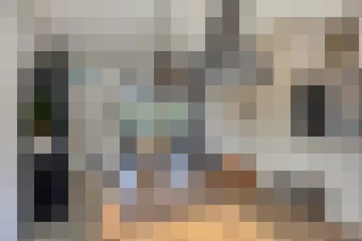 Kievitweg 6 Havelte thumbnail 9