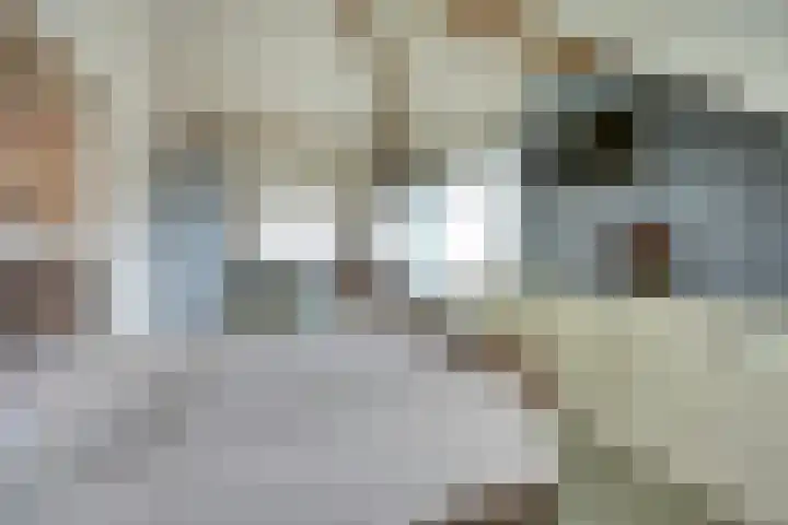 Kijckerweg 103 De Lier thumbnail 29
