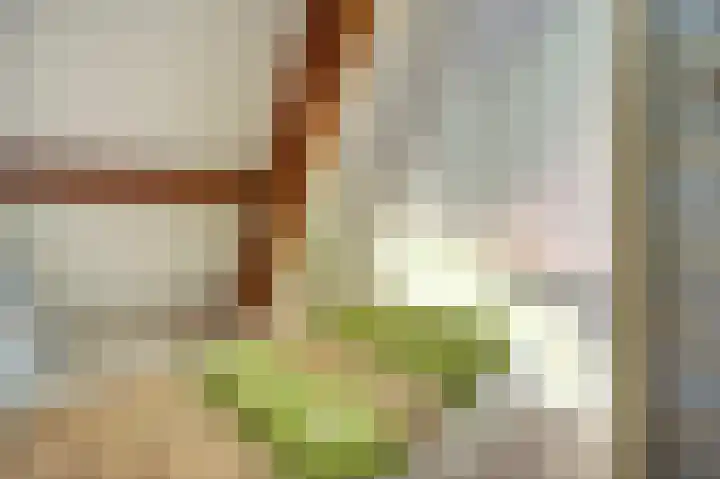 Kijckerweg 103 De Lier thumbnail 37
