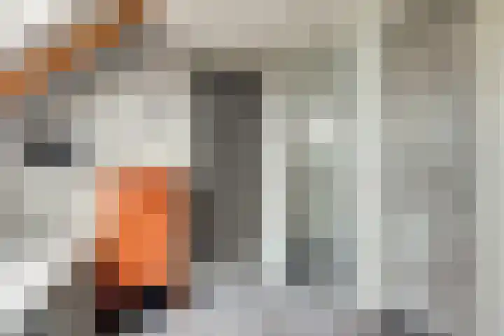 Kijckerweg 103 De Lier thumbnail 44