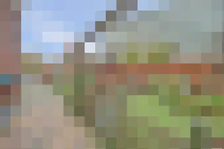 Kijckerweg 103 De Lier thumbnail 49