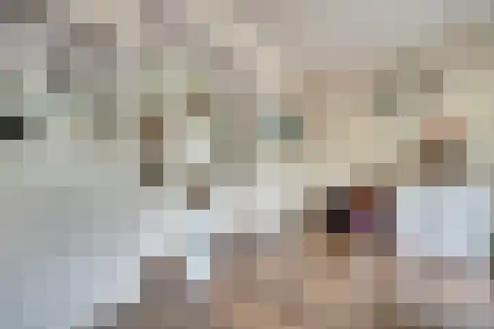 Kijckerweg 103 De Lier thumbnail 9