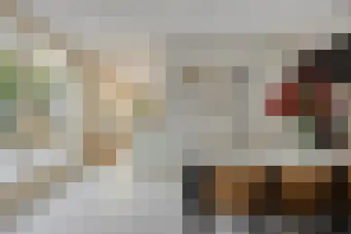 Kijkakkers 21 Maarheeze thumbnail 12