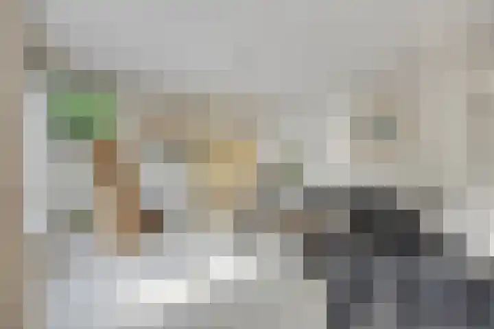 Kijkakkers 21 Maarheeze thumbnail 20
