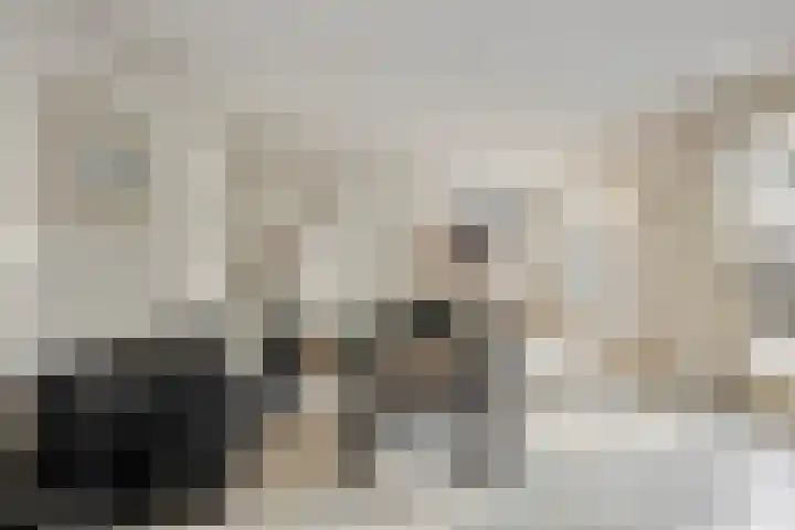 Kijkakkers 21 Maarheeze thumbnail 21