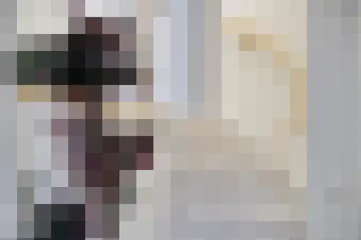 Kijkakkers 21 Maarheeze thumbnail 31